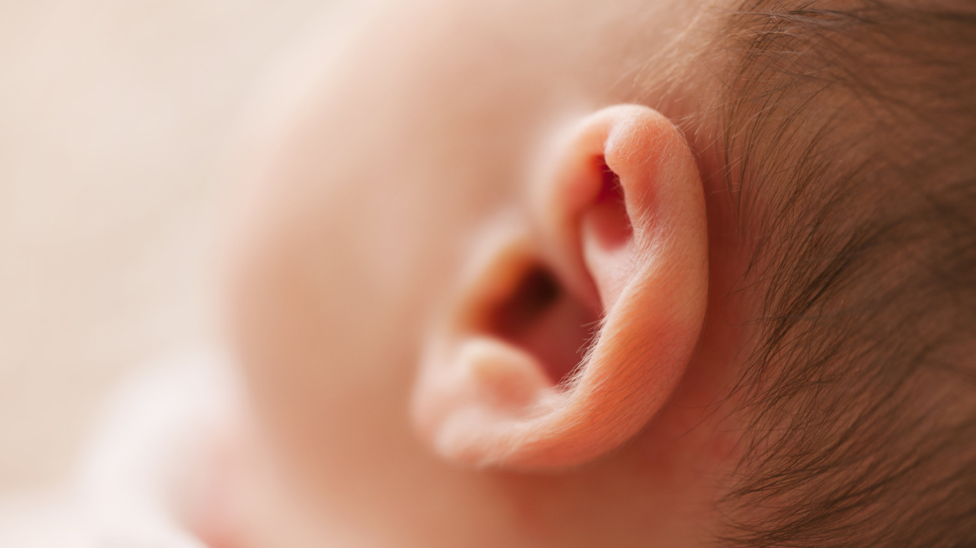 Orelha de bebê vista de perto, mostrando detalhes da cartilagem